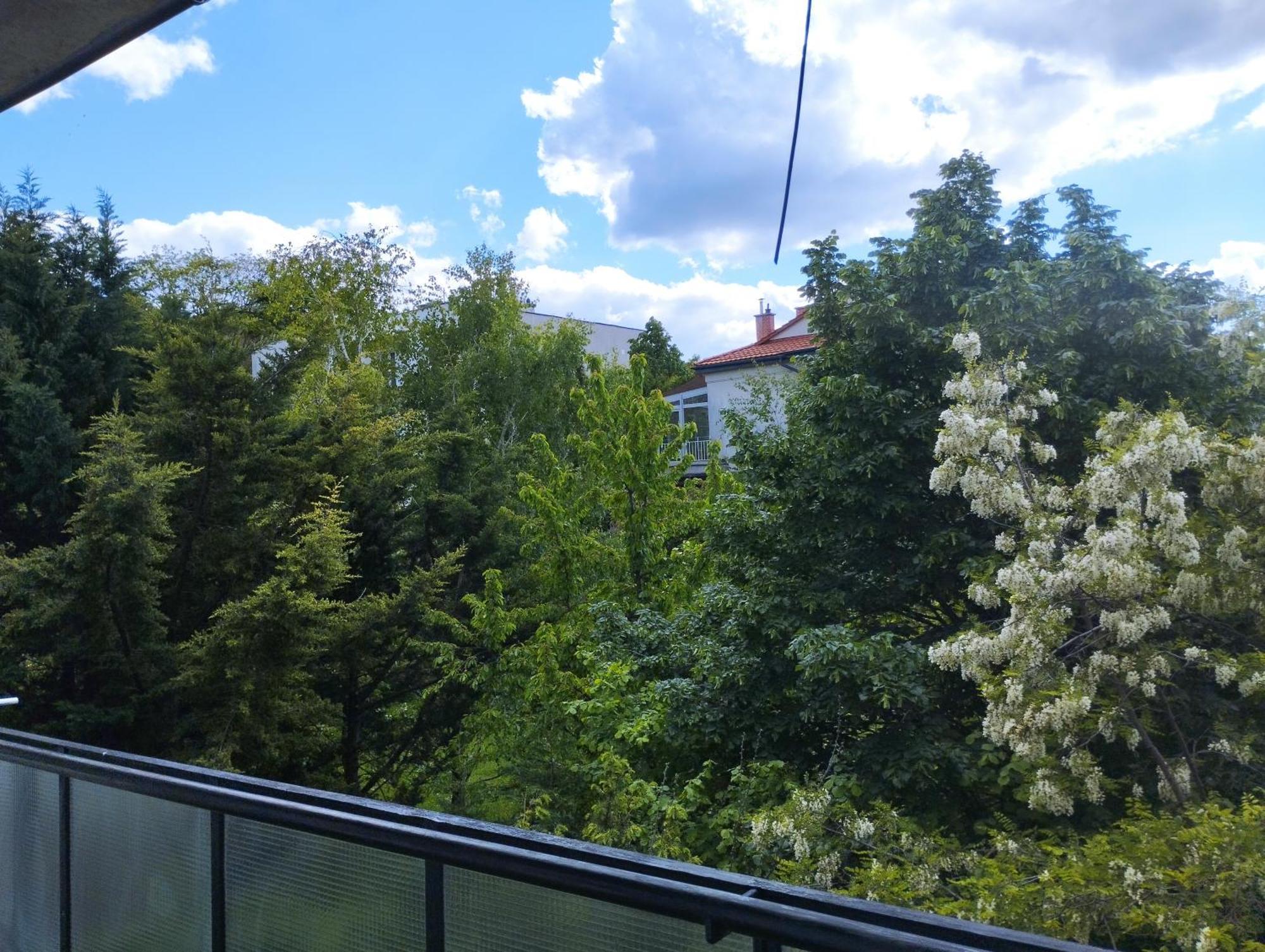 Greenview Apartment Budapest Esterno foto